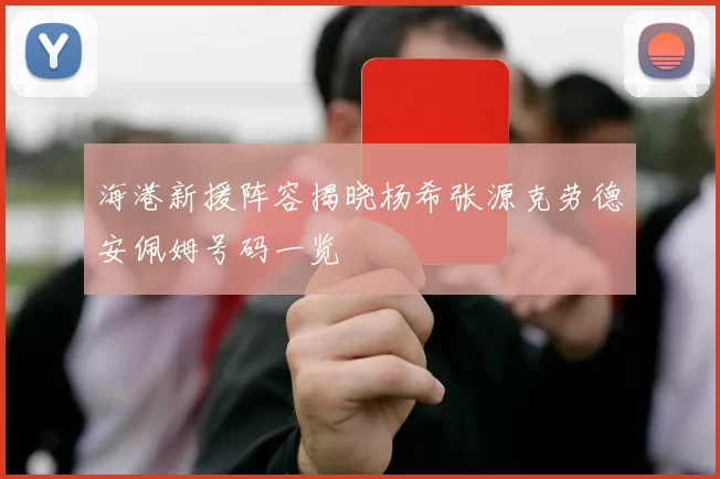 海港新援阵容揭晓杨希张源克劳德安佩姆号码一览